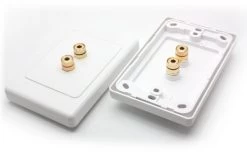 1 Speaker Hi-Fi Wall Plate (1 Red & 1 Black Terminal)