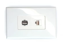 1x Cat6 & 1x USB 2.0 Wall Plate