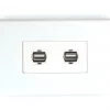 2x USB 2.0 Wall Plate (Type A Female) -Computer Accessories Store 2x usb 20 wall plate type a