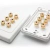 3 Speaker Hi-Fi Wall Plate (3 Red & 3 Black Terminals)