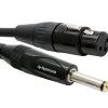 50cm Avencore Platinum XLR To 1/4" Cable (Female To Male) -Computer Accessories Store 50cm avencore platinum xlr to