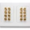 8 Speaker Hi-Fi Double-Gang Wall Plate (8 Red & 8 Black Terminals) 2 8 Speaker Hi-Fi Double-Gang Wall Plate (8 Red & 8 Black Terminals) -Computer Accessories Store 8 speaker hi fi double gang