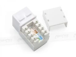 2x CAT6 Wall Plate (RJ45 Keystone Punchdown) -Computer Accessories Store photo1604534890