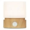 Stylish Warm White Night Light (Variable Timer, Dimmable & Rechargeable) -Computer Accessories Store warm white night light